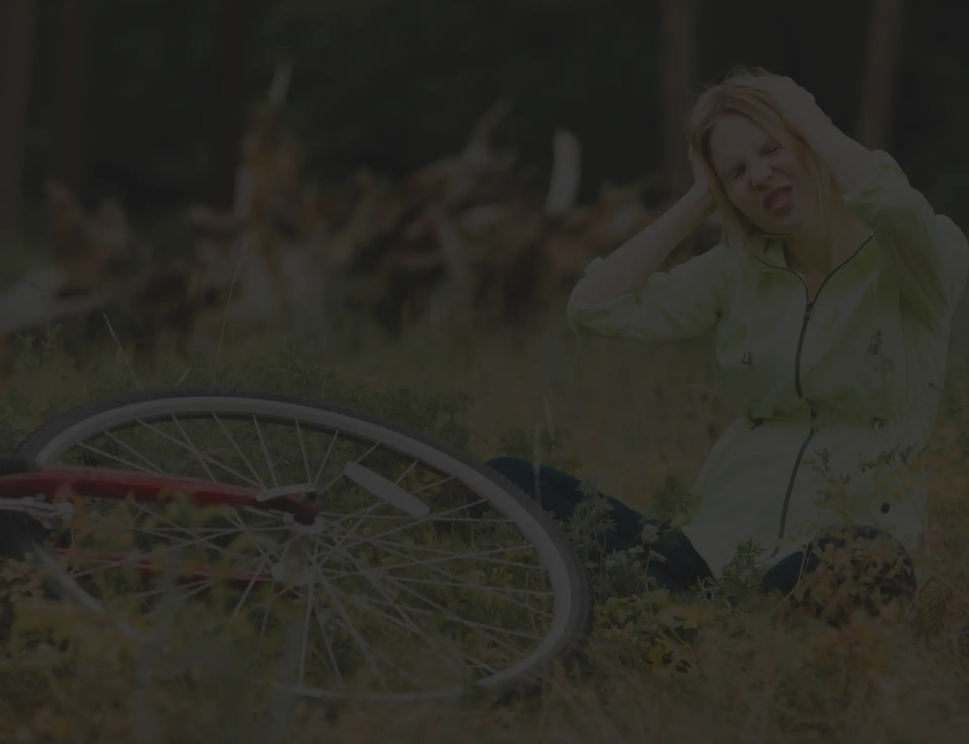 Bicycle Accident
