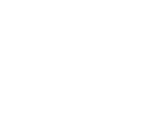 Bicycle Accidents