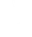 Slip & Fall Accident
